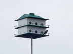 IMG 4074